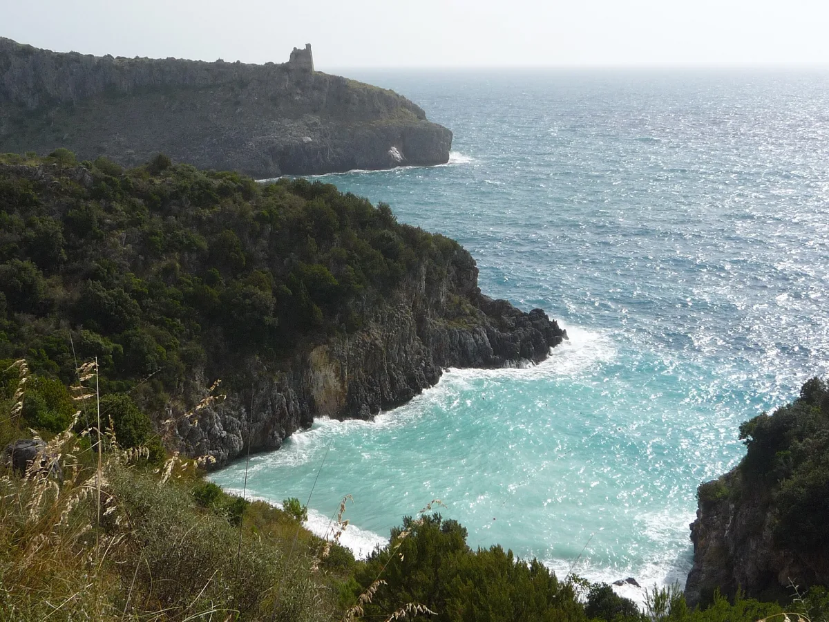 Cosa vedere a Cilento: un viaggio tra storia, natura e gastronomia