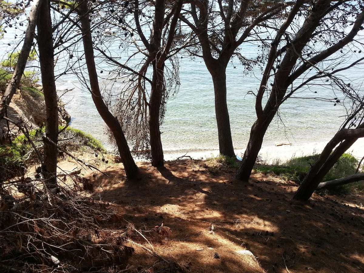 Un Itinerario di 7 Giorni nel Cilento: Scopri la Bellezza di un Parco Nazionale UNESCO