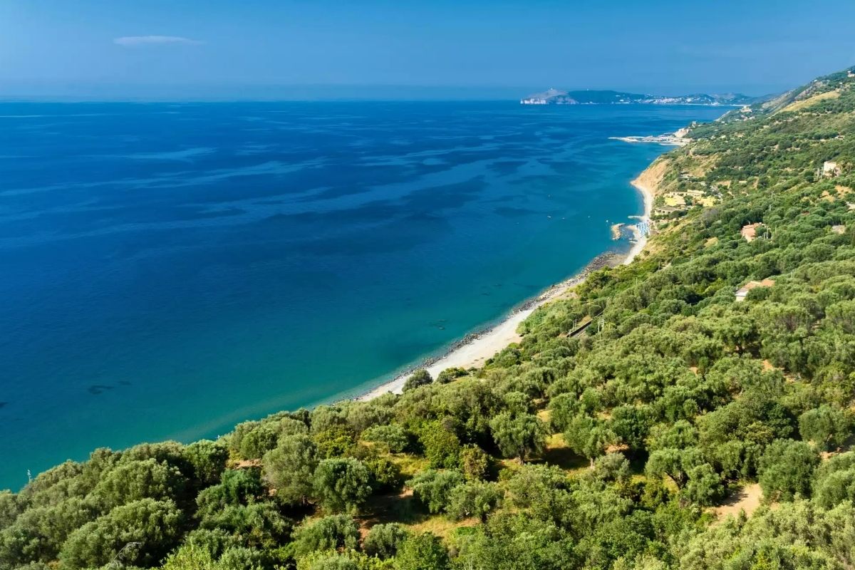 Vista panoramica del Cilento con mare e colline verdi