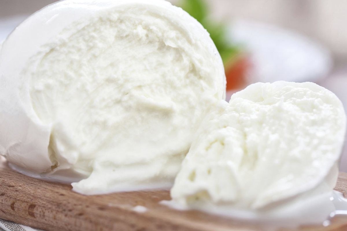 Immagine della mozzarella di bufala DOP, con un focus sui suoi colori e la freschezza.